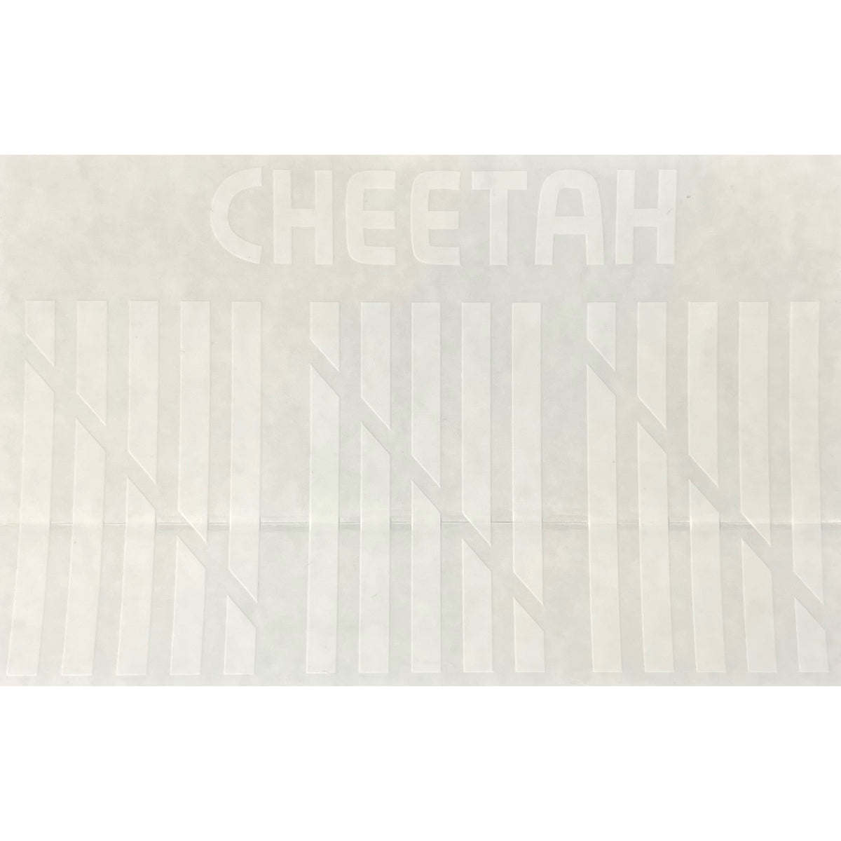 AeroTech Cheetah Decal Sheet